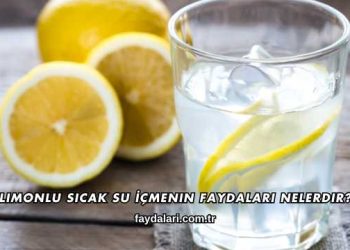Limonlu Sıcak Su İçmenin Faydaları Nelerdir?
