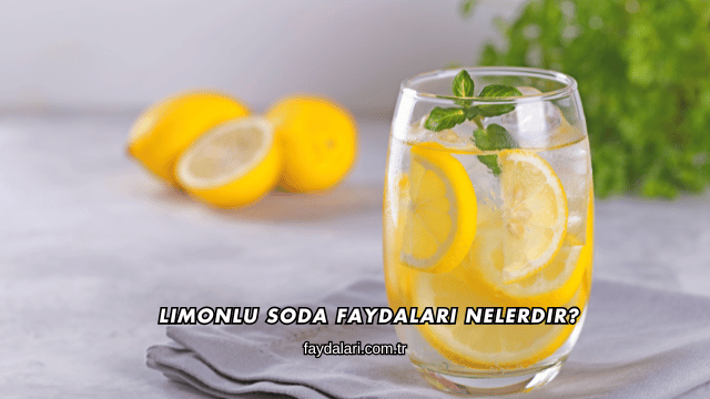 Limonlu Soda Faydaları Nelerdir?