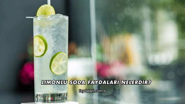 Limonlu Soda Faydaları Nelerdir?