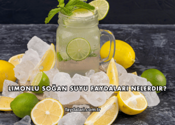 Limonlu Soğan Suyu Faydaları Nelerdir?