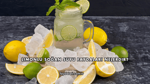 Limonlu Soğan Suyu Faydaları Nelerdir?