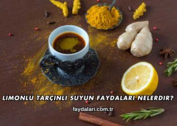 Limonlu Tarçınlı Suyun Faydaları Nelerdir?