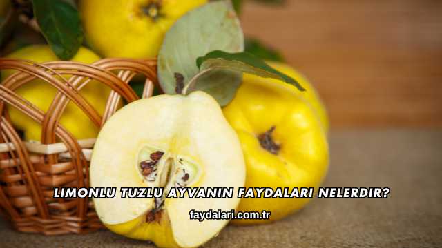Limonlu Tuzlu Ayvanın Faydaları Nelerdir?