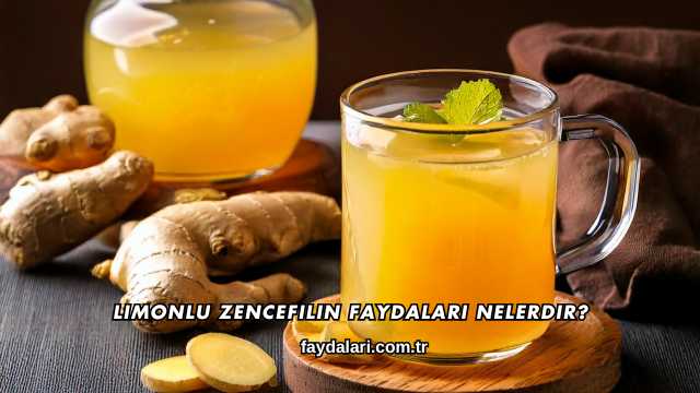 Limonlu Zencefilin Faydaları Nelerdir?