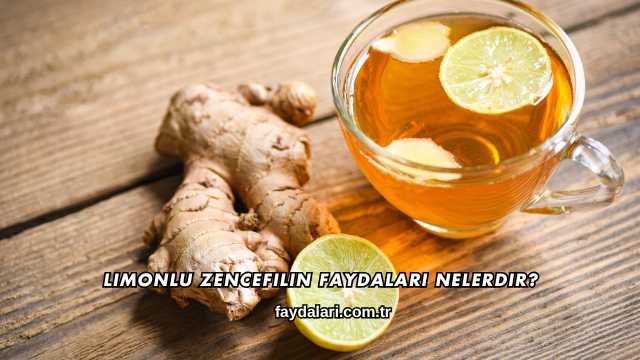 Limonlu Zencefilin Faydaları Nelerdir?