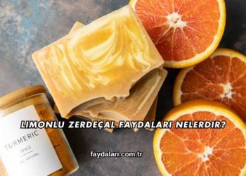 Limonlu Zerdeçal Faydaları Nelerdir?