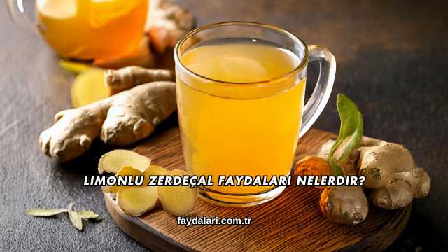 Limonlu Zerdeçal Faydaları Nelerdir?

Limon ve zerdeçalın birlikte tüketilmesi son yıllarda oldukça ilgi gören doğal bir karışım hâline gelmiştir. Antioksidan bakımından zengin olan bu iki besinin düzenli kullanımının genel sağlığı desteklediği bilinir ve bu nedenle limonlu zerdeçal faydaları pek çok kişi tarafından merak edilir. Günlük rutine eklendiğinde sindirimden bağışıklık yapısına kadar farklı alanlarda destekleyici etkiler sunabilir.

Limonlu Zerdeçal Faydaları Nelerdir?

Limonlu zerdeçal, özellikle antioksidan yoğunluğu sayesinde vücutta serbest radikallerin etkisini azaltmaya yardımcı olmasıyla dikkat çeker. İçerisindeki C vitamini ve kurkumin bileşenleri sayesinde bağışıklık direncinin desteklenmesine katkı sağlayabilir. Düzenli tüketildiğinde sindirim sisteminin daha rahat çalışmasına, vücudun doğal savunma dengesinin korunmasına ve enerji hissinin artmasına yardımcı olabileceği için bu karışım günlük yaşamda pratik bir destek sunar.

Antioksidan Etkisi Ne Sağlar?

Limonlu zerdeçal karışımının antioksidan yönü, vücutta oluşan oksidatif stresi azaltmaya yardımcı olabilir ve bu da hücrelerin daha iyi korunmasını sağlar. Serbest radikallerin yoğun olduğu yaşam koşullarında bu tür doğal kaynaklı desteklerin tercih edilmesi genel sağlık açısından faydalı bir tamamlayıcı olabilir.

Oksidatif Stres Nasıl Azalır?

Oksidatif stresin azalması limonlu zerdeçal bileşimindeki C vitamini ve kurkuminin savunma mekanizmasını desteklemesiyle mümkündür ve bu süreçte hücrelerin çevresel faktörlere karşı dayanıklılığı artabilir.

Sindirim Sistemine Etkileri Nedir?

Bu doğal karışım özellikle mide ve bağırsak sisteminde rahatlatıcı etkiler gösterebilir ve yemeklerden sonra daha dengeli bir sindirim sürecine katkı sağlayabilir. Limonun hafif asidik yapısı ile zerdeçalın destekleyici özellikleri birleştiğinde sindirim daha konforlu hâle gelir ve günlük yaşam kalitesi artabilir.

Sindirim Konforu Nasıl Desteklenir?

Bağırsakların düzenli şekilde çalışmasına yardımcı olan bileşenler, limonlu zerdeçal tüketildiğinde sindirim sürecini olumlu yönde etkileyebilir ve bu durum yemeklerden sonra oluşan rahatsızlık hissinin azalmasını sağlayabilir.

Bağışıklığa Etkisi Nedir?

Limonlu zerdeçal, içeriğindeki C vitamini ve doğal bileşenlerle bağışıklık direncinin desteklenmesine yardımcı olabilir ve özellikle mevsim değişimlerinde vücudun korunmasına katkı sağlayabilir. Bu nedenle pek çok kişi günlük yaşamında bu karışımı sağlıklı bir alışkanlık olarak tüketmeyi tercih eder.

Bağışıklık Dengesi Nasıl Desteklenir?

Bağışıklık dengesi limonlu zerdeçal karışımında bulunan vitamin ve doğal antioksidanların düzenli tüketilmesiyle güç kazanabilir ve bu destek günlük yaşamda daha enerjik hissedilmesine katkı sağlayabilir.

Sıkça Sorulan Sorular

Aşağıda 'Limonlu Zerdeçal Faydaları Nelerdir?' ile ilgili sıkça sorulan sorular ve yanıtları yer almaktadır:

Limonlu zerdeçal her gün tüketilebilir mi?

Limonlu zerdeçal günlük olarak tüketilebilir ancak hassas mide yapısına sahip kişilerin miktarı kontrollü şekilde artırması daha sağlıklı olabilir çünkü fazla asidik ürünler mideyi rahatsız edebilir.

Limonlu zerdeçal aç mı tok mu içilmeli?

Genellikle sabah aç karnına içilmesi tercih edilir ancak mide hassasiyeti olanlar için tok karnına tüketmek daha rahat bir kullanım sağlayabilir ve olası yan etkileri azaltabilir.

Limonlu zerdeçal kilo vermeye yardımcı olur mu?

Doğrudan kilo verdiren bir mucize değildir fakat sindirim sistemini desteklediği için kilo kontrolü sürecinde yardımcı bir içecek olarak tercih edilebilir ve düzenli kullanımda daha hafif hissetmeye katkı sağlayabilir.

Limonlu zerdeçal bağışıklığı güçlendirir mi?

Bu karışım antioksidan ve C vitamini içeriği sayesinde bağışıklık sisteminin normal işleyişine destek olabilir ancak tek başına hastalıklara karşı koruma sağlamaz ve dengeli beslenme ile birlikte düşünülmelidir.

Limonlu zerdeçal ne zaman içilmeli?

Genellikle sabah tüketimi tercih edilir çünkü bu zamanlama metabolizmanın gün boyu daha canlı hissetmesine katkı sağlayabilir fakat kişisel rutine göre gün içinde de tüketilebilir.

Limonlu zerdeçal karışımı sıcak mı soğuk mu hazırlanmalı?

Her iki şekilde de hazırlanabilir ancak fazla sıcak su kurkuminin etkisini zayıflatabileceğinden ılık su ile hazırlanması daha uygun olabilir ve içim kolaylığı sağlar.

Limonlu zerdeçal herkes için uygun mudur?

Genel olarak çoğu kişi tarafından tüketilebilir fakat mide rahatsızlığı, safra sorunları veya kullanılan ilaçlar varsa tüketim öncesinde uzman görüşü alınması daha güvenli olabilir.