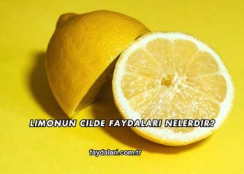 Limonun Cilde Faydaları Nelerdir?