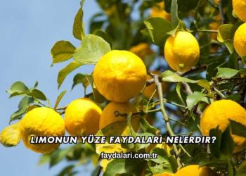 Limonun Yüze Faydaları Nelerdir?
