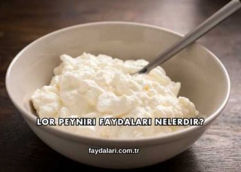 Lor Peyniri Faydaları Nelerdir?