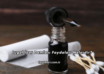 Lugol İyot Damlası Faydaları Nelerdir?