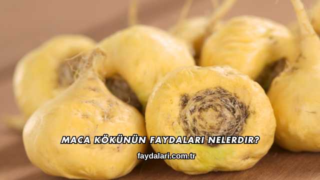 Maca Kökünün Faydaları Nelerdir?