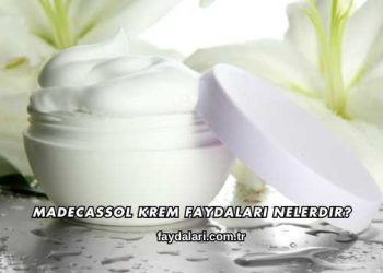 Madecassol Krem Faydaları Nelerdir