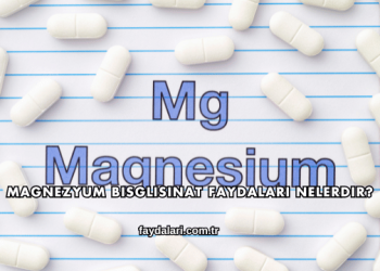 Magnezyum Bisglisinat Faydaları Nelerdir?
