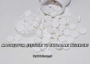 Magnezyum Çeşitleri ve Faydaları Nelerdir?