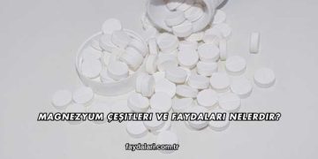 Magnezyum Çeşitleri ve Faydaları Nelerdir?