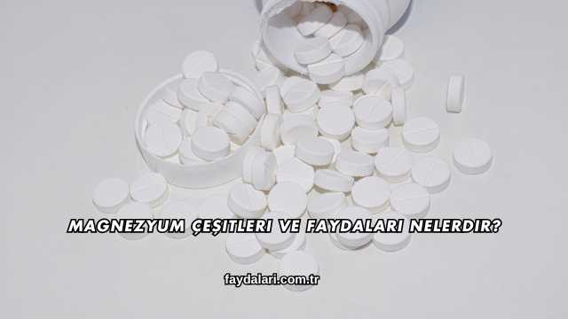 Magnezyum Çeşitleri ve Faydaları Nelerdir?