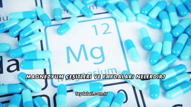 Magnezyum Çeşitleri ve Faydaları Nelerdir?