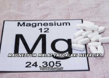 Magnezyum Malat Faydaları Nelerdir?