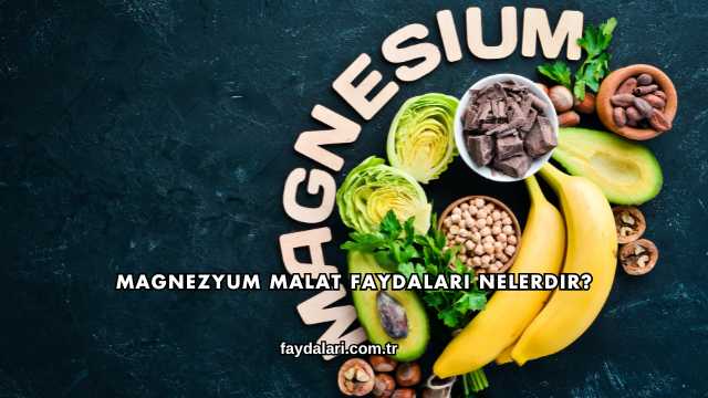 Magnezyum Malat Faydaları Nelerdir?