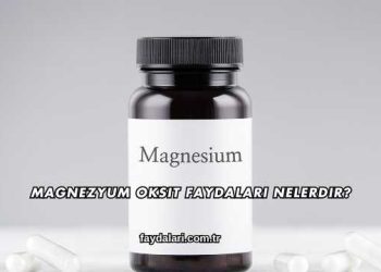 Magnezyum Oksit Faydaları Nelerdir?