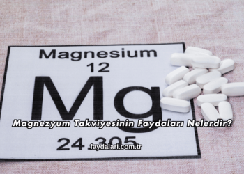 Magnezyum Takviyesinin Faydaları Nelerdir?
