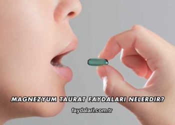 Magnezyum Taurat Faydaları Nelerdir?