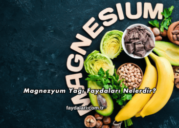 Magnezyum Yağı Faydaları Nelerdir?