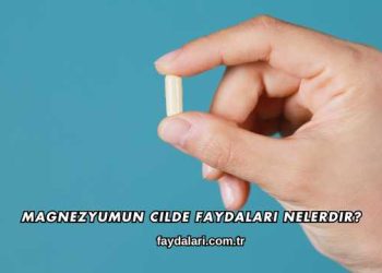 Magnezyumun Cilde Faydaları Nelerdir?