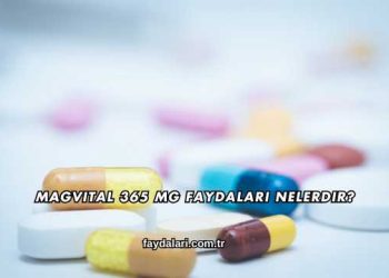 Magvital 365 Mg Faydaları Nelerdir?