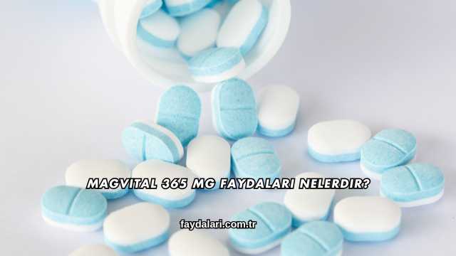 Magvital 365 Mg Faydaları Nelerdir?
