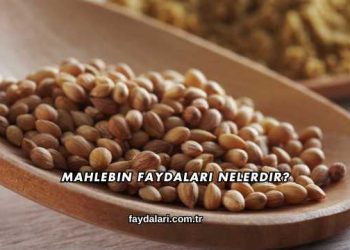 Mahlebin Faydaları Nelerdir?