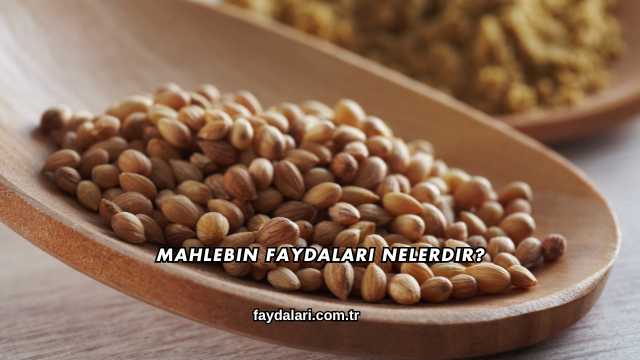 Mahlebin Faydaları Nelerdir?
