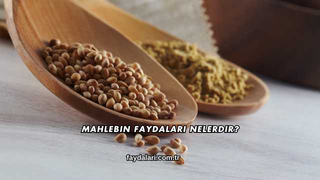 Mahlebin Faydaları Nelerdir?