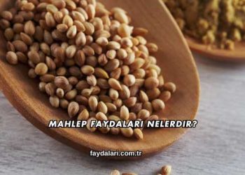 Mahlep Faydaları Nelerdir?