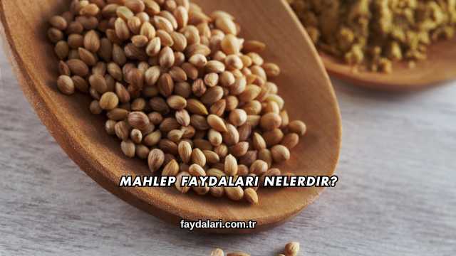 Mahlep Faydaları Nelerdir?