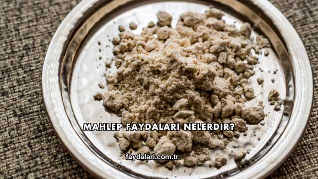 Mahlep Faydaları Nelerdir?