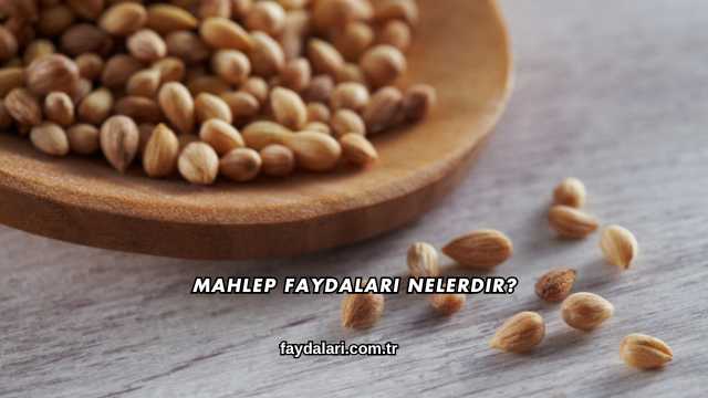 Mahlep Faydaları Nelerdir?