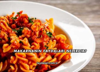 Makarnanın Faydaları Nelerdir?