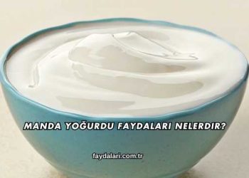 Manda Yoğurdu Faydaları Nelerdir?
