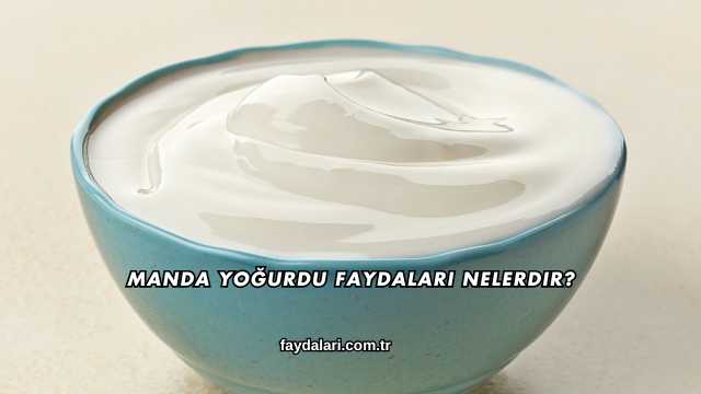 Manda Yoğurdu Faydaları Nelerdir?
