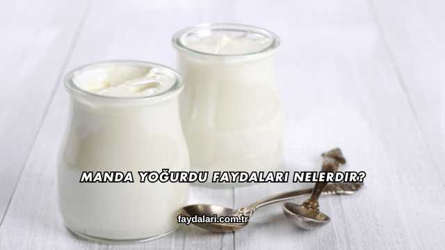 Manda Yoğurdu Faydaları Nelerdir?
