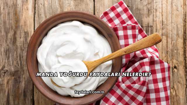 Manda Yoğurdu Faydaları Nelerdir?