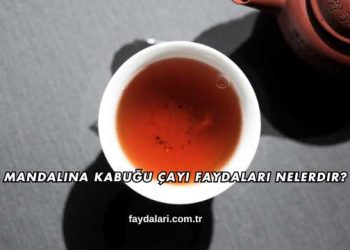 Mandalina Kabuğu Çayı Faydaları Nelerdir?