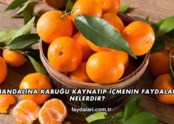 Mandalina Kabuğu Kaynatıp İçmenin Faydaları Nelerdir?