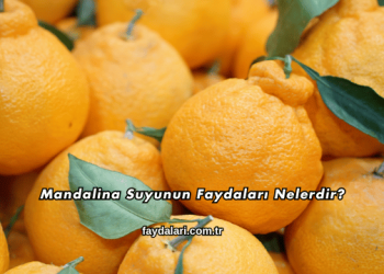 Mandalina Suyunun Faydaları Nelerdir?
