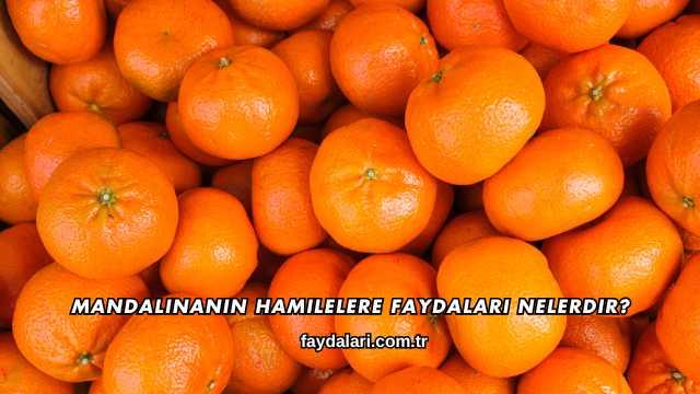 Mandalinanın Hamilelere Faydaları Nelerdir?