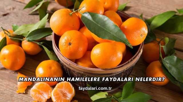 Mandalinanın Hamilelere Faydaları Nelerdir?
