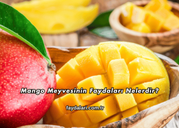 Mango Meyvesinin Faydaları Nelerdir?