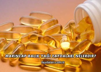 Marincap Balık Yağı Faydaları Nelerdir?